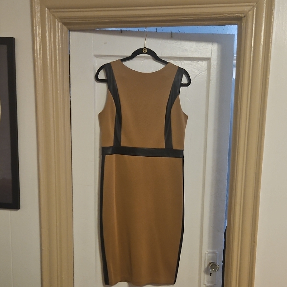 Elegant Tan and Black Sleeveless Dress